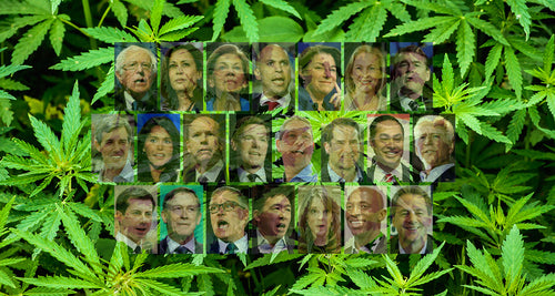 Where Do The 2020 Presidential Candidates Stand On Cannabis?
