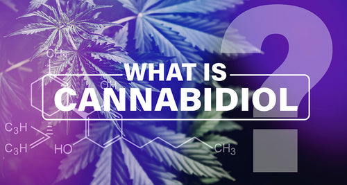 What Is Cannabidiol?