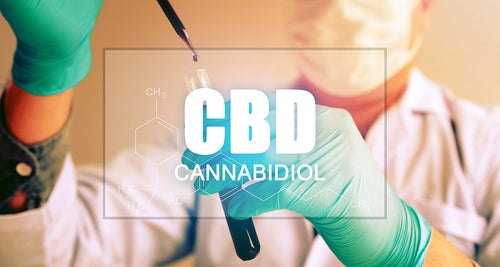 Will CBD Show On A Drug Test?