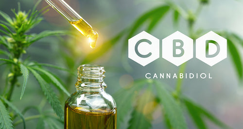 What Is a CBD Tincture?